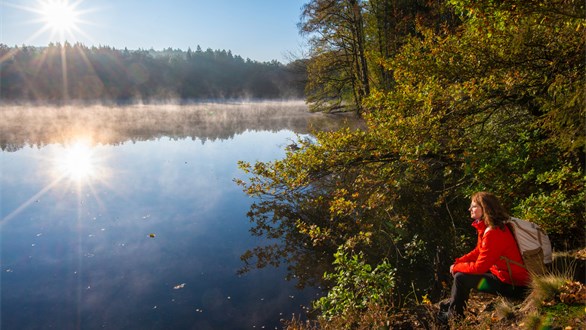 Bild zu Sauerland-GastgeberWerkstatt